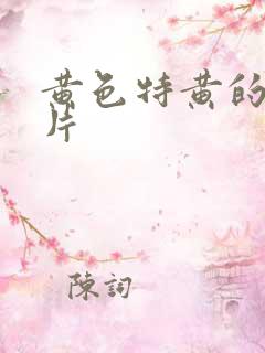 黄色特黄的一级片