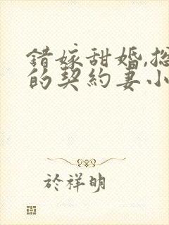 错嫁甜婚,总裁的契约妻小说