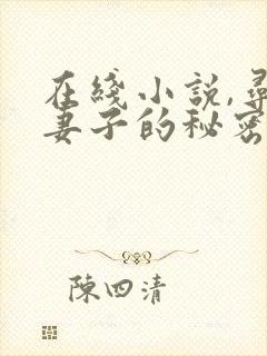 在线小说,寻找妻子的秘密