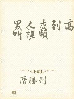 男人爽到高潮喊叫视频