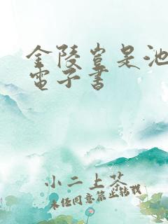 金陵岂是池中物电子书