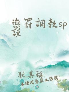 惩罚调教sp小说