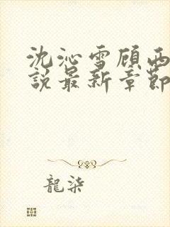 沈沁雪顾西朝小说最新章节免费阅读