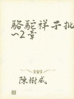 骆驼祥子批注1~2章