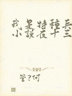 我是特种兵杨洛小说夜十三