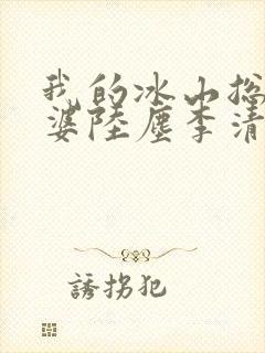 我的冰山总裁老婆陆尘李清瑶