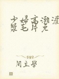 少妇高潮灌满白浆毛片免