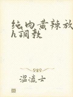 纯肉黄辣放荡高h调教