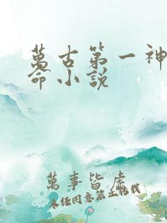 万古第一神李天命小说