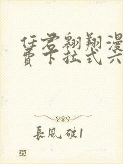 任君翱翔漫画免费下拉式六漫画网