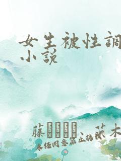 女生被性调教的小说