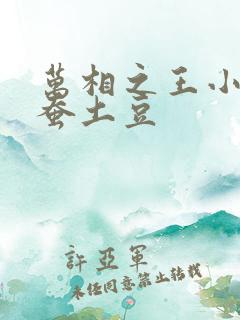 万相之王小说天蚕土豆