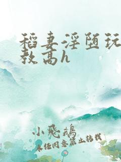 稻妻淫堕玩弄调教高h