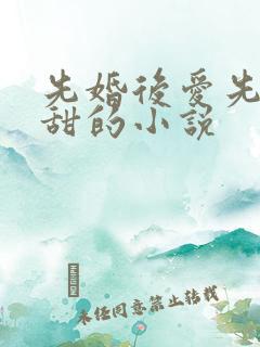 先婚后爱先虐后甜的小说