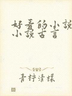 好看的小说言情小说古言