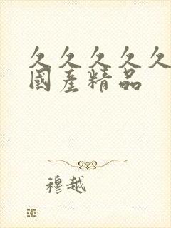 久久久久久久久国产精品