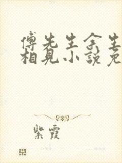 傅先生余生不再相见小说免费阅读