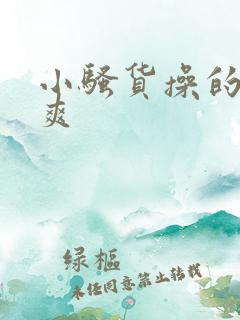 小骚货操的爽不爽