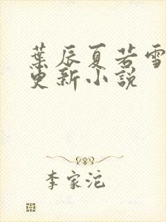 叶辰夏若雪最新更新小说