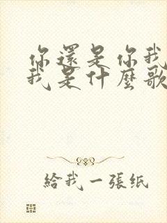 你还是你我还是我是什么歌的歌词