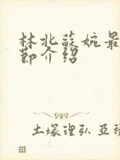 林北苏婉最新章节介绍