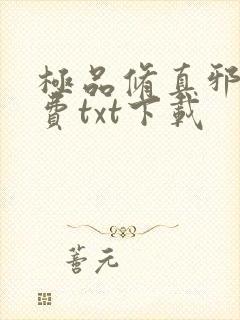 极品修真邪少免费txt下载