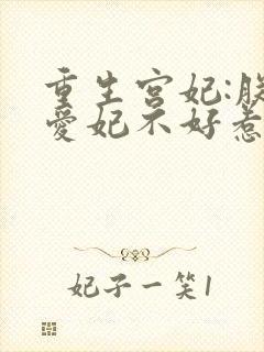 重生宫妃:朕的爱妃不好惹