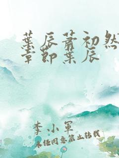 叶辰萧初然最新章节叶辰