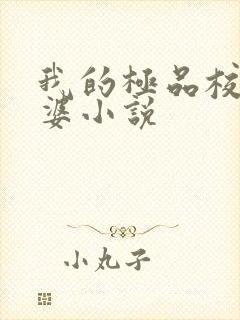 我的极品校花老婆小说