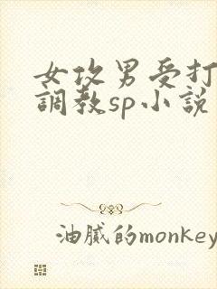 女攻男受打屁股调教sp小说