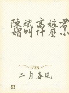 陈斌高婉君赵心媚叫什么小说