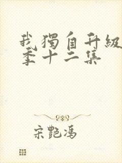 我独自升级第二季十二集