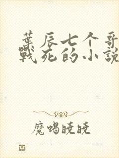 叶辰七个哥全部战死的小说叫什么