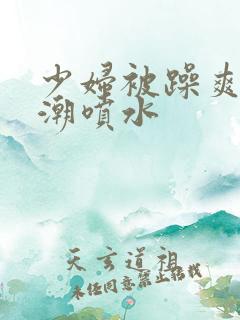 少妇被躁爽到高潮喷水