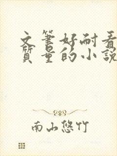 文笔好耐看的高质量的小说言情