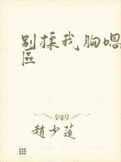 别揉我胸嗯啊一区