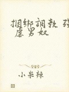 捆绑调教 强制 虐男奴