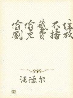 偷偷藏不住电视剧免费播放在线