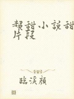超甜小说甜宠文片段