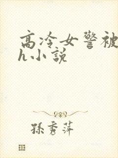 高冷女警被辱高h小说