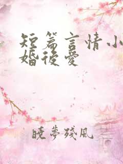 短篇言情小说先婚后爱