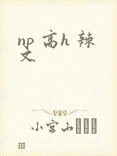 np 高h 辣文