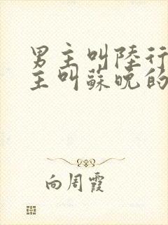 男主叫陆行舟女主叫苏晚的小说