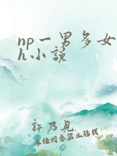 np一男多女高h小说