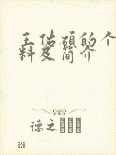 王佑硕的个人资料及简介