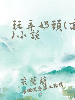 玩弄奶头(高h)小说