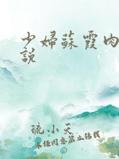 少妇苏霞肉欲小说