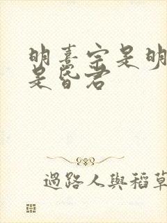 明熹宗是明君还是昏君