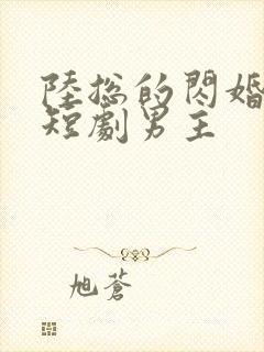 陆总的闪婚甜妻短剧男主