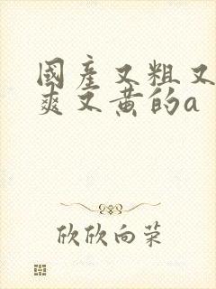 国产又粗又猛又爽又黄的a